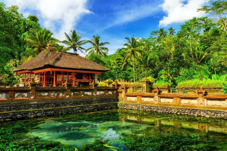 Tirta Empul Temple purification ritual