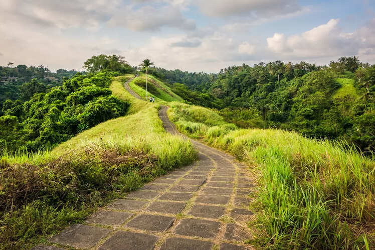 Campuhan Ridge Walk