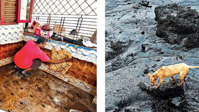 Oil contamination will hit livelihood for 3-4 months, say Ennore fishermen