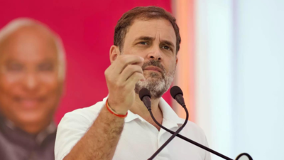 Amit Shah Is Unaware Of History...: Rahul Gandhi Hits Out At Amit Shah ...