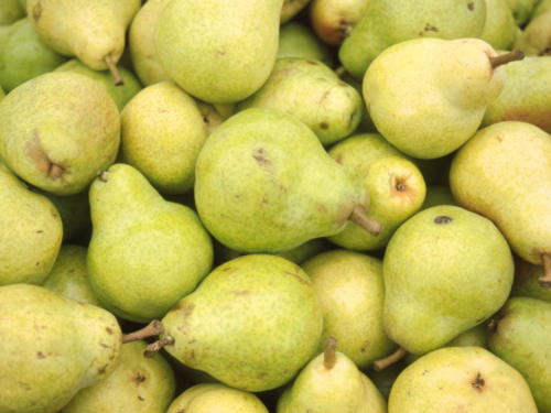 नाशपाती से डायबिटीज का होगा नाश, जानिए कैसे करें सेवन HEALTH NEWS Pear will cure diabetes, know how to consume it,It is a good source of vitamins, minerals and fiber, making it part of a healthy diet