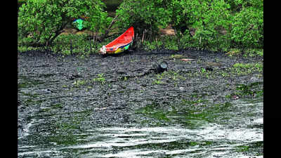 Oil spill: NGT furious as CPCL, TN engage in spat