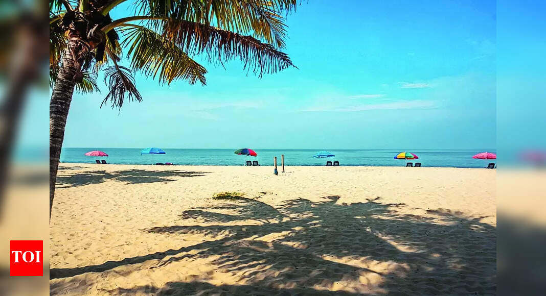 Post Pandemic Post Pandemic Embracing the 'Carpe Diem' Spirit Fuels