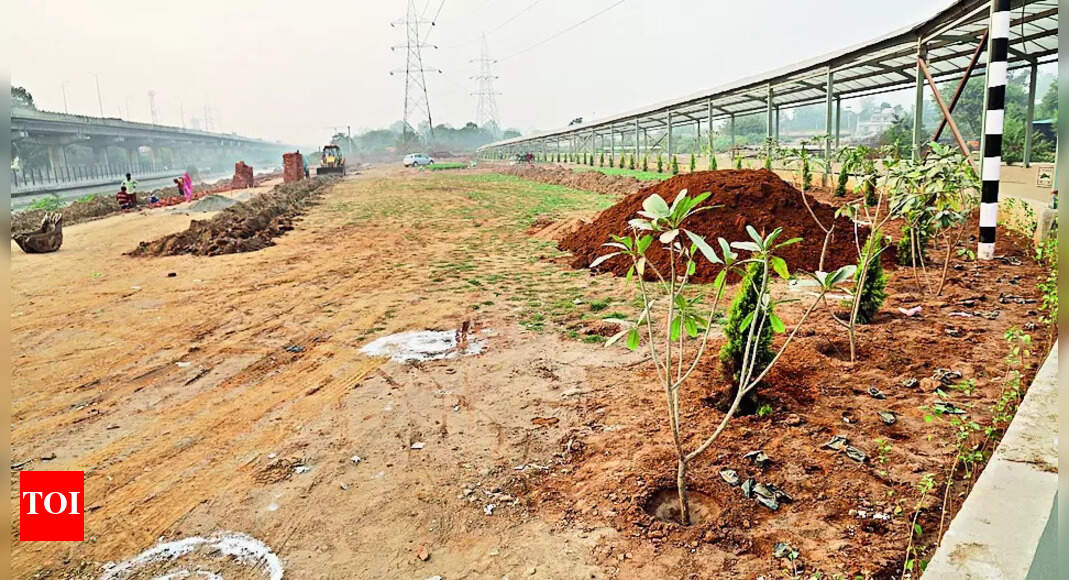 Now, A Valley Of Flowers To Deck Up Sidhwan Banks | Ludhiana News ...