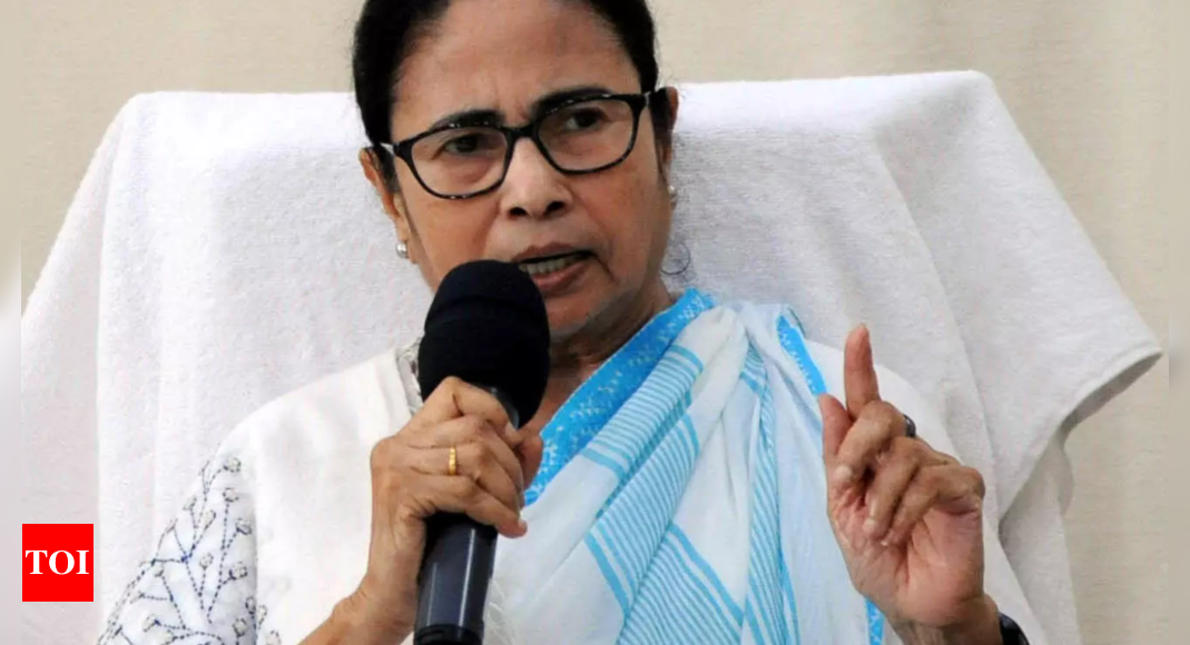 Cm Mamata Banerjee Likely To Meet Pm Narendra Modi In Delhi On December 20 Kolkata News