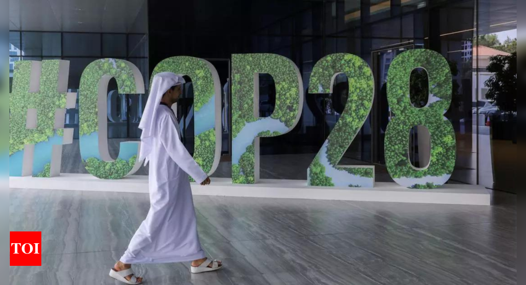Brazil: Brazil tells Cop28 wealthy nations must provide ‘the means’ for energy transition