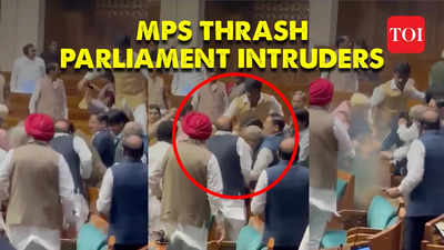 New video shows MPs punching, thrashing intruder on floor who protested with smoke canister inside Lok Sabha