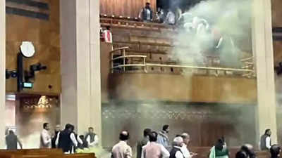 Parliament security breached on 2001 attack anniversary, 2 open smoke canisters in Lok Sabha