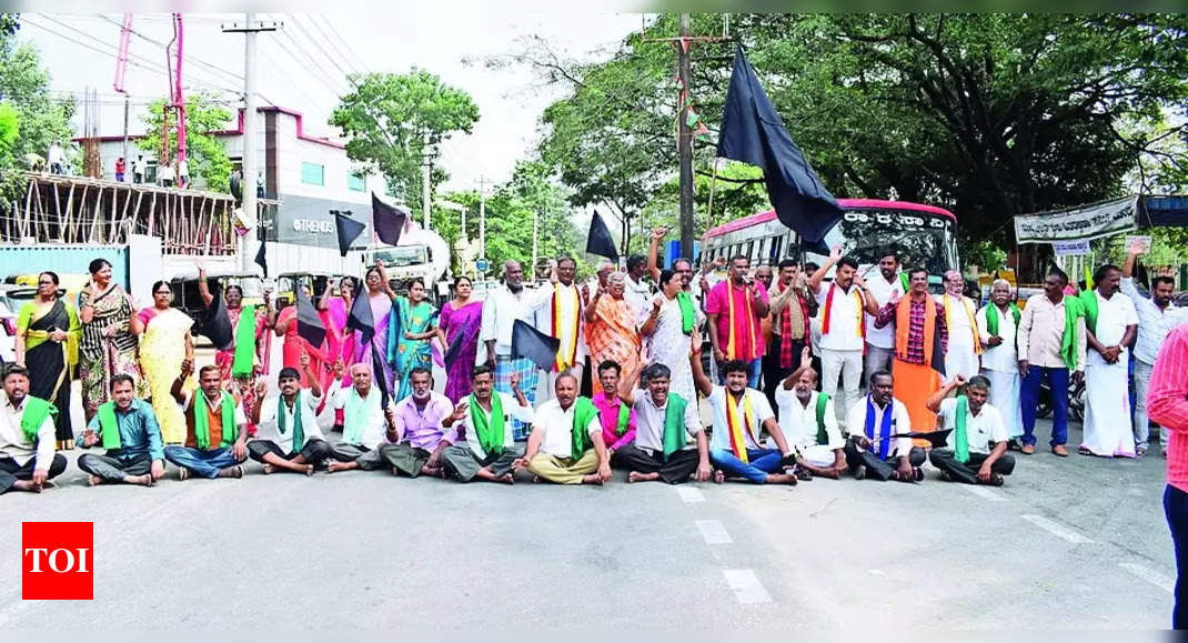 Cauvery Stir: B’luru-mysuru Road Blocked On 100th Day Of Cauvery Stir ...