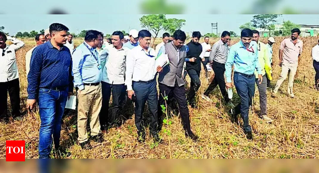 Drought: Assessment of drought and crop damage in Malegaon Nashik ...