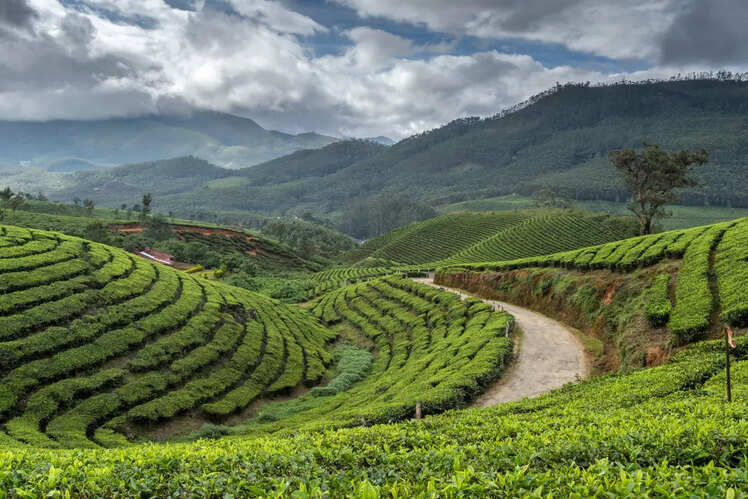 Enchanting hill stations