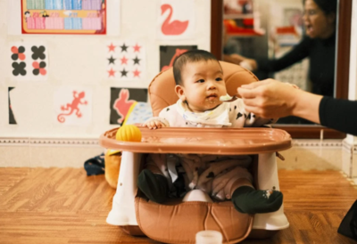 Baby Booster Chairs for Happy and Healthy Babies (May, 2024)