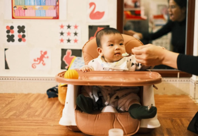 Baby Booster Chairs for Happy and Healthy Babies (November, 2024)