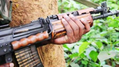 Two Maoists killed in encounter with police in Maharashtra's Gadchiroli