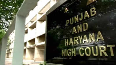 Train all cops about fundamental rights, high court directs Punjab DGP