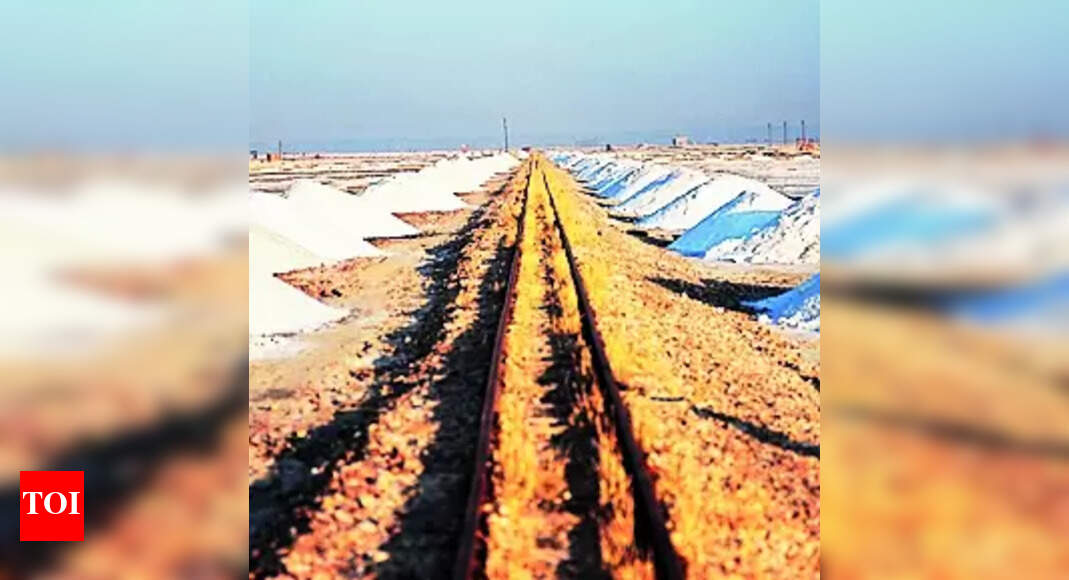 Rajasthan High Court: HC Seeks Raj Govt’s Reply on Illegal Salt ...