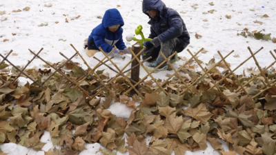 Freezing temperatures in northern China trigger alert - Times of India