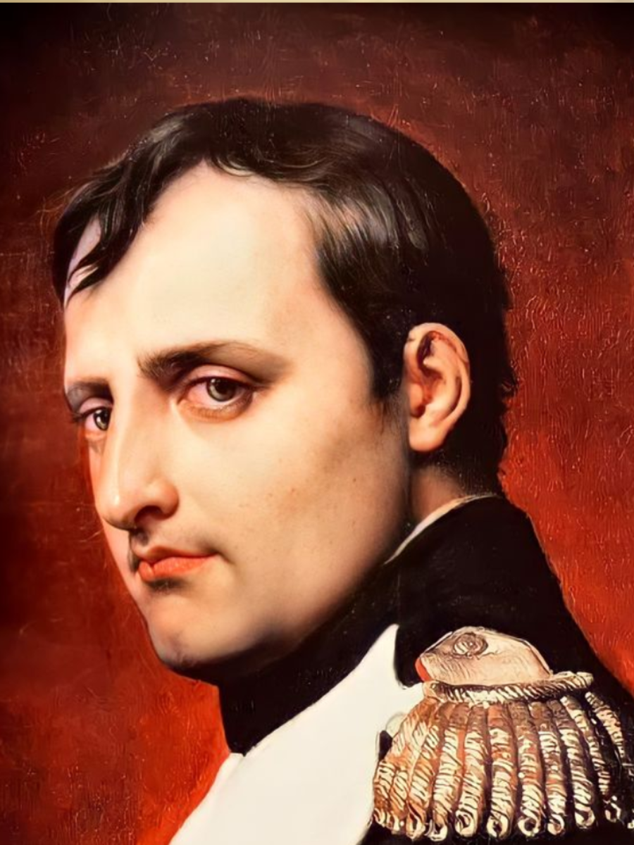 5 Famous Insightful Quotes Of Napoleon Times Now
