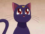 Luna from 'Sailor Moon'