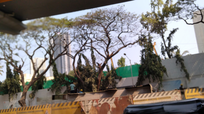 Mumbai: Heavy noise pollution at Malad redevelopment site irks citizens