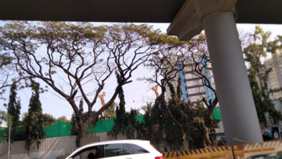 Mumbai: Heavy noise pollution at Malad redevelopment site irks citizens, scares away birds too