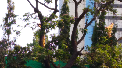 Mumbai: Heavy noise pollution at Malad redevelopment site irks citizens