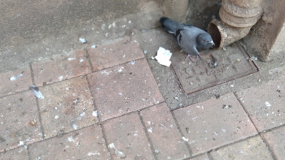 Mumbai: Heavy noise pollution at Malad redevelopment site irks citizens