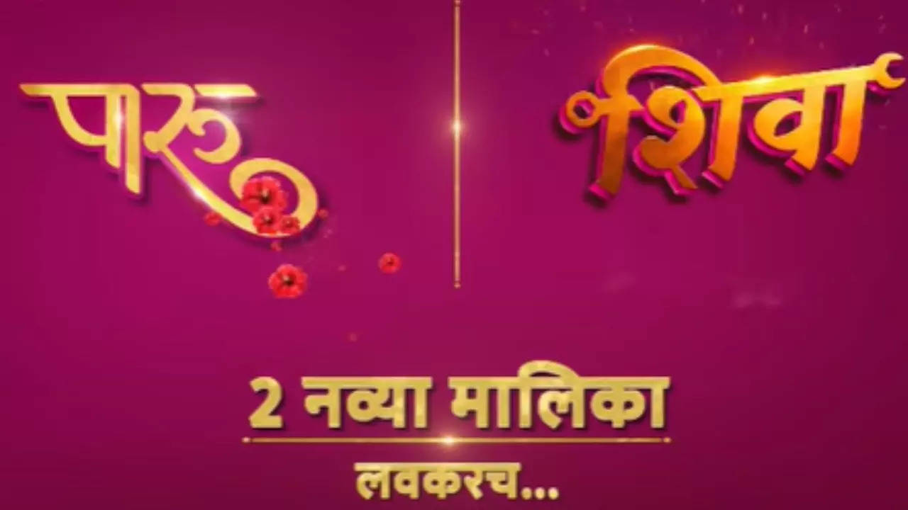 ZEE Marathi Disha: Moving in a new direction