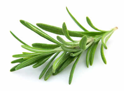 ​10 ways of using Rosemary for hair