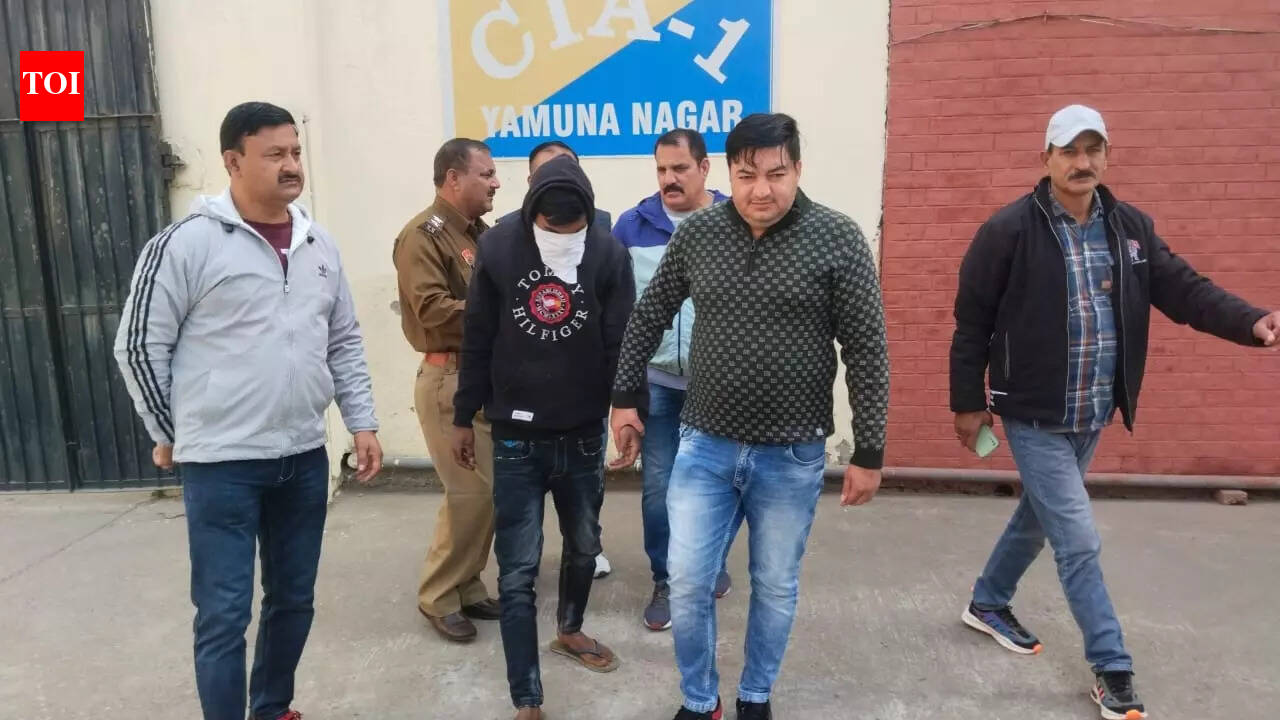 Man held for murdering friend over drugs in Yamunanagar | Chandigarh ...