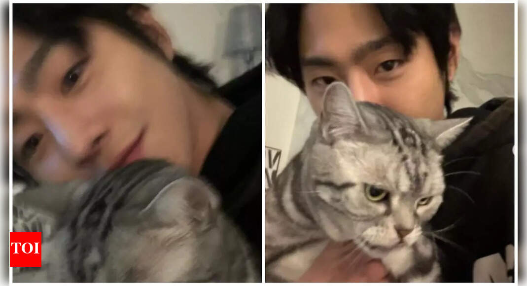 Ahn Hyo-seop embraces Christmas spirit with his furry friend Ba-ul: See ...