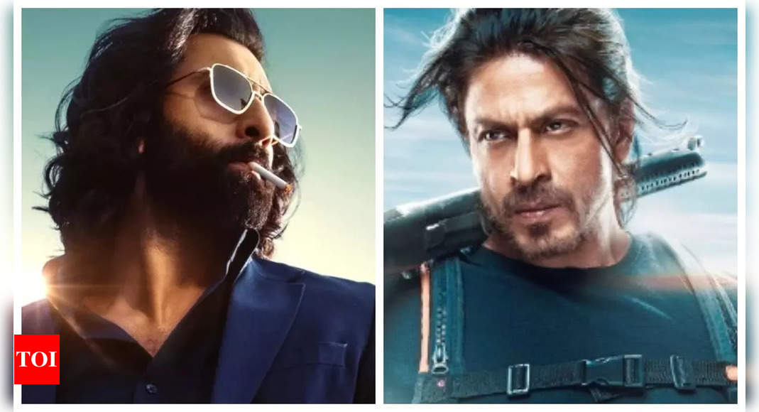 Ranbir Kapoor’s ‘Animal’ beats Shah Rukh Khan’s ‘Pathaan’ to become highest-grossing Indian film in Canada and Australia | Hindi Movie News