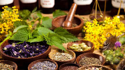 Wiccan Way : Magic with herbs and spices