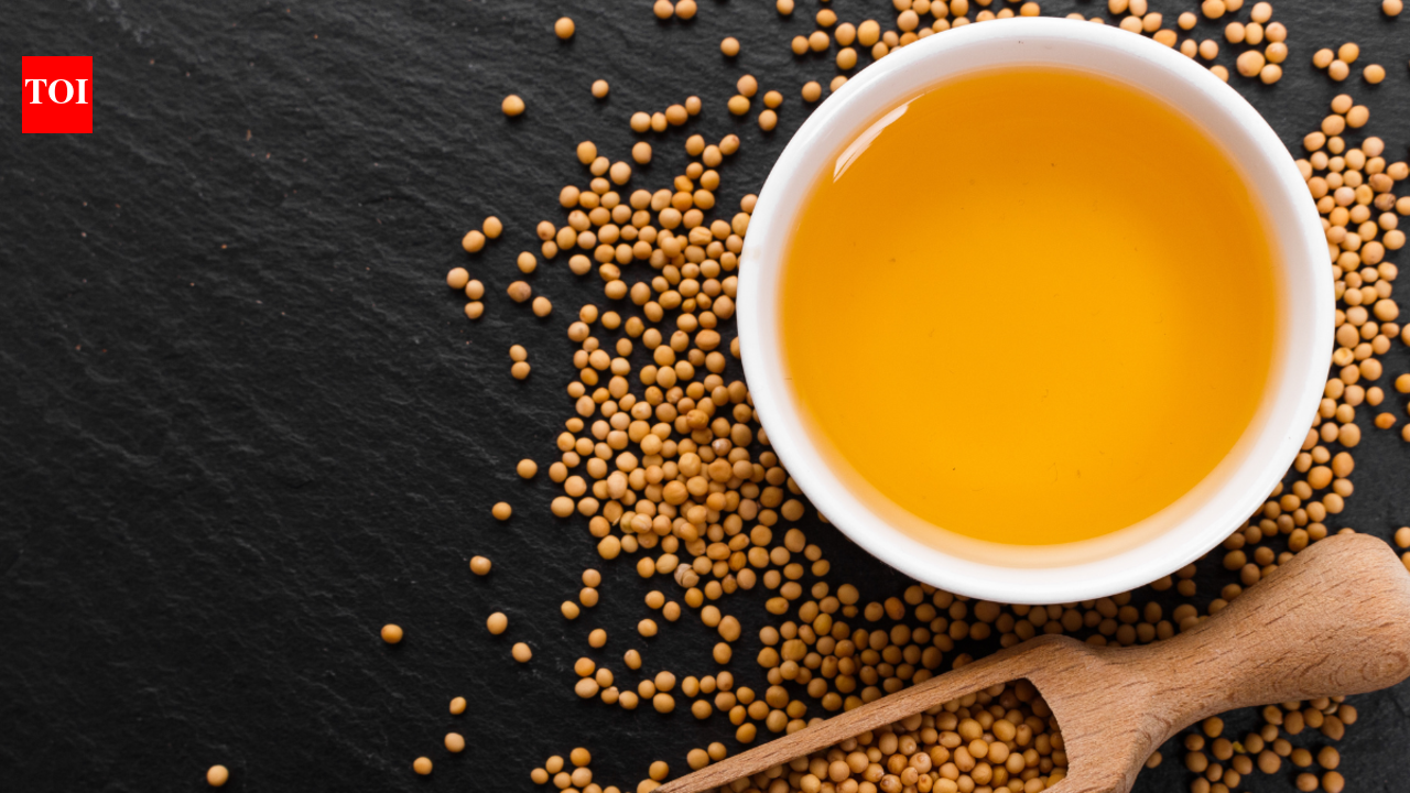 timesofindia.indiatimes.com