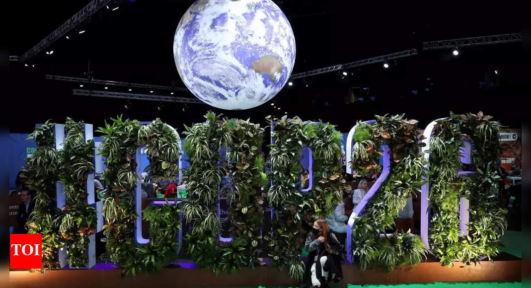 How COP28 failed the world's small islands