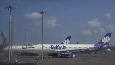 SpiceJet, 2 foreign companies show interest in GoAir