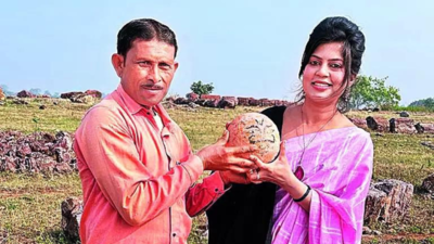 Worshipped as ‘kuldevta’ in MP’s Dhar, totems turn out to be fossilised dino eggs