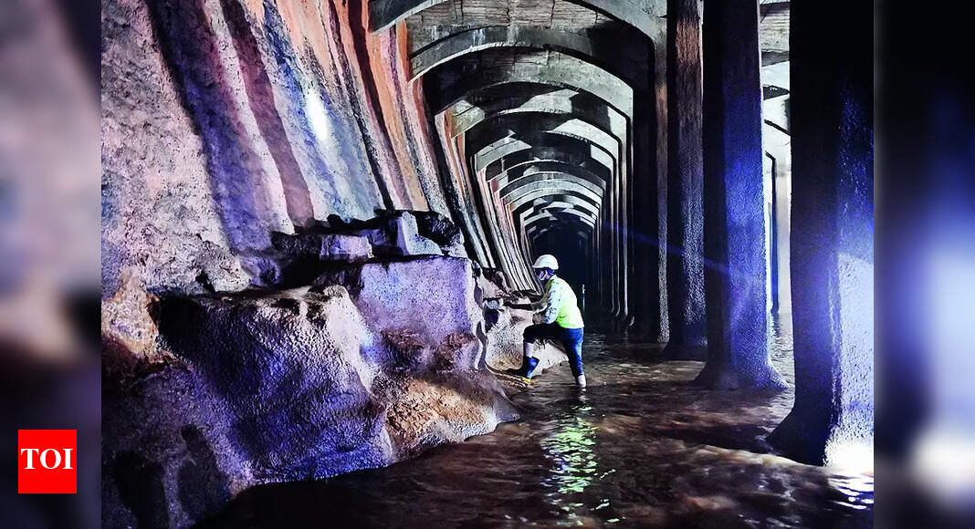 Malabar Hill Reservoir Malabar Hill Reservoir Expert Opinion on