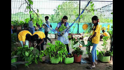 Thane civic school pupils use waste to cultivate garden