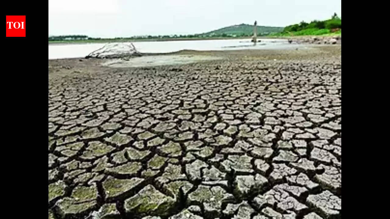 Drought Relief: Karnataka Chief Minister to meet Prime Minister for ...