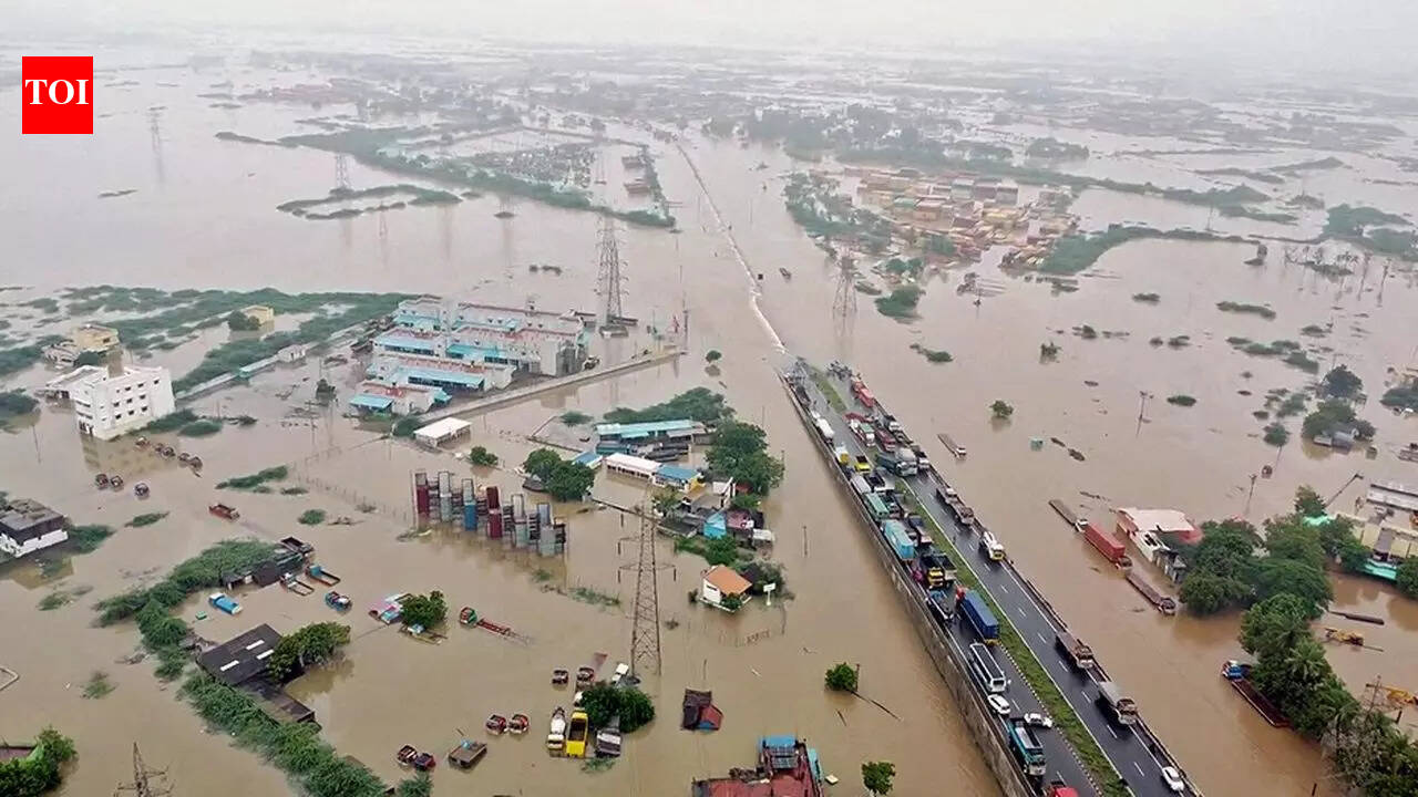 South Tamil Nadu rain: Tirunelveli and Tuticorin districts declared as ...