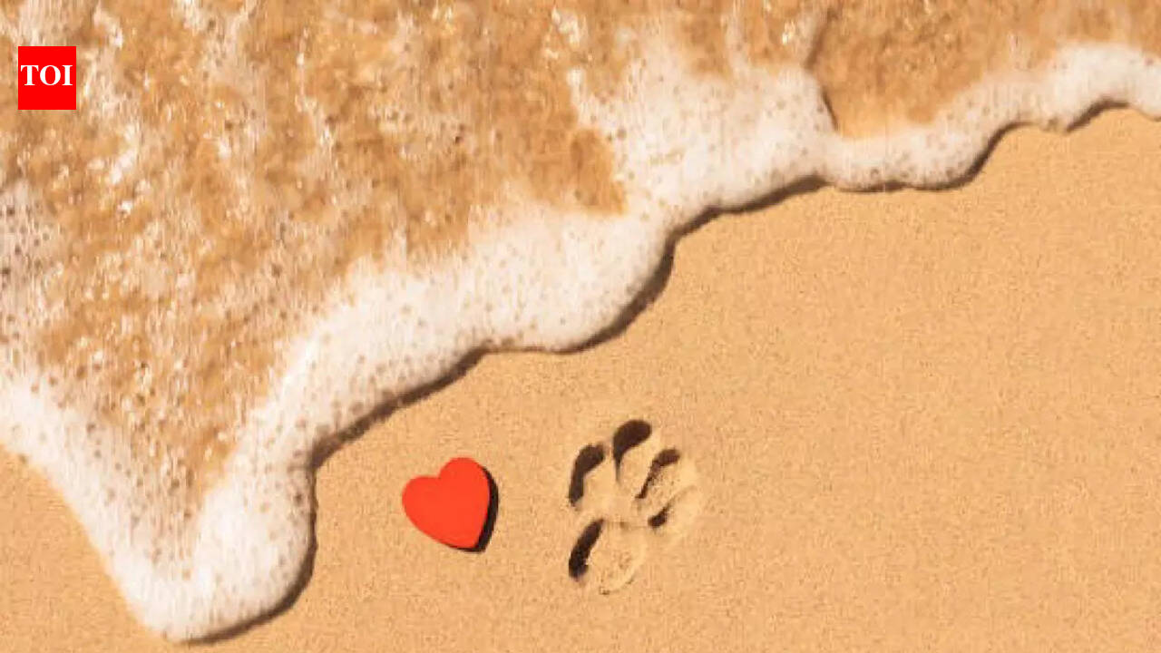 How to handle the death of a pet