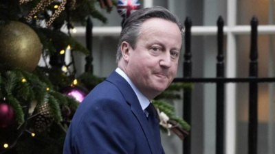 France, UK to support Ukraine 'for as long as it takes': Cameron