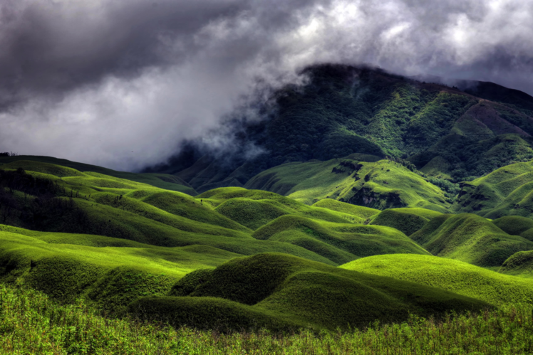 Dzukou Valley, Nagaland