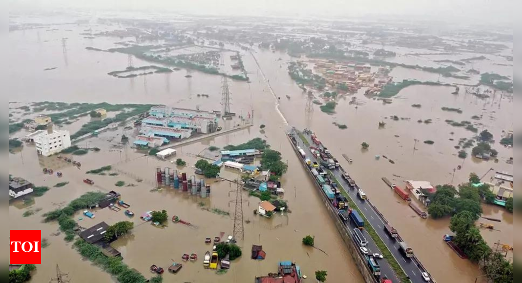 Tamil Nadu: Amid heavy rain, bridge collapses in Tamil Nadu: Top developments | India News