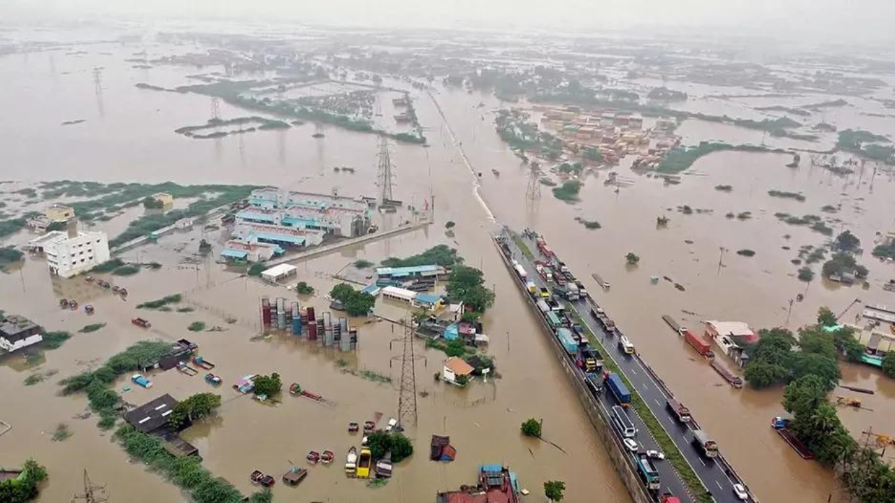 Tamil Nadu: Amid heavy rain, bridge collapses in Tamil Nadu: Top  developments | India News - 
