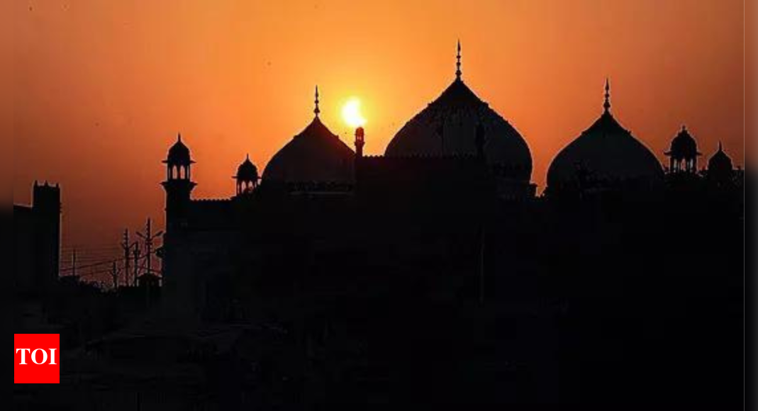 Allahabad high court clears way for further ASI study at Gyanvapi mosque, if required