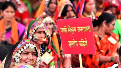 Caste census will hit national unity, RSS tells BJP, Shiv Sena MLAs
