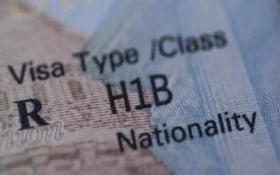 Pilot programme for domestic renewal of H-1B visa start: What it is and why it is good news for Indian IT professionals