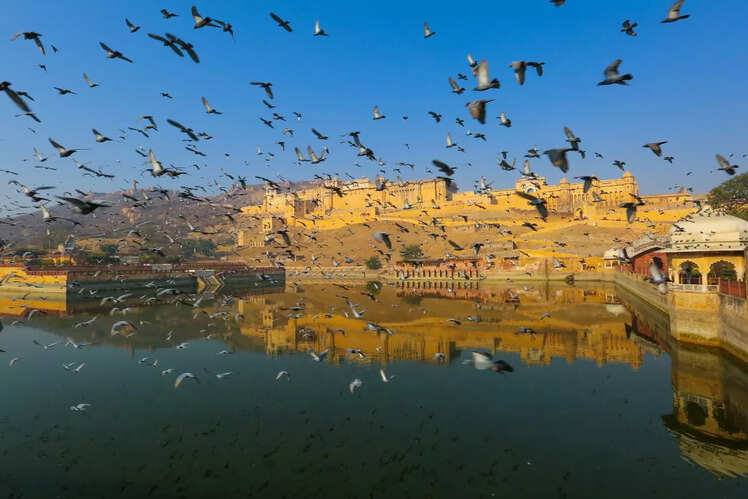 Amer Fort, Jaipur